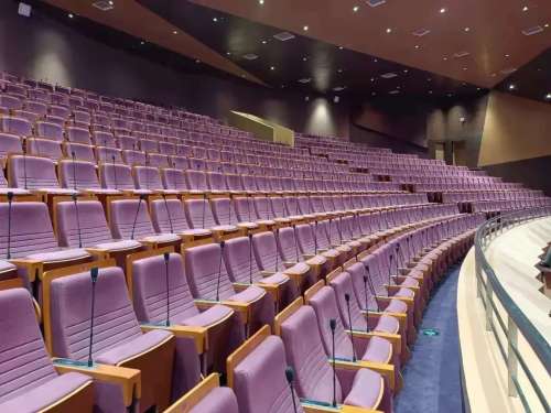 Digital Conference System for Theater Solution.jpg