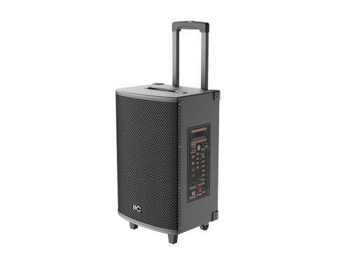 DS-LG12.jpg